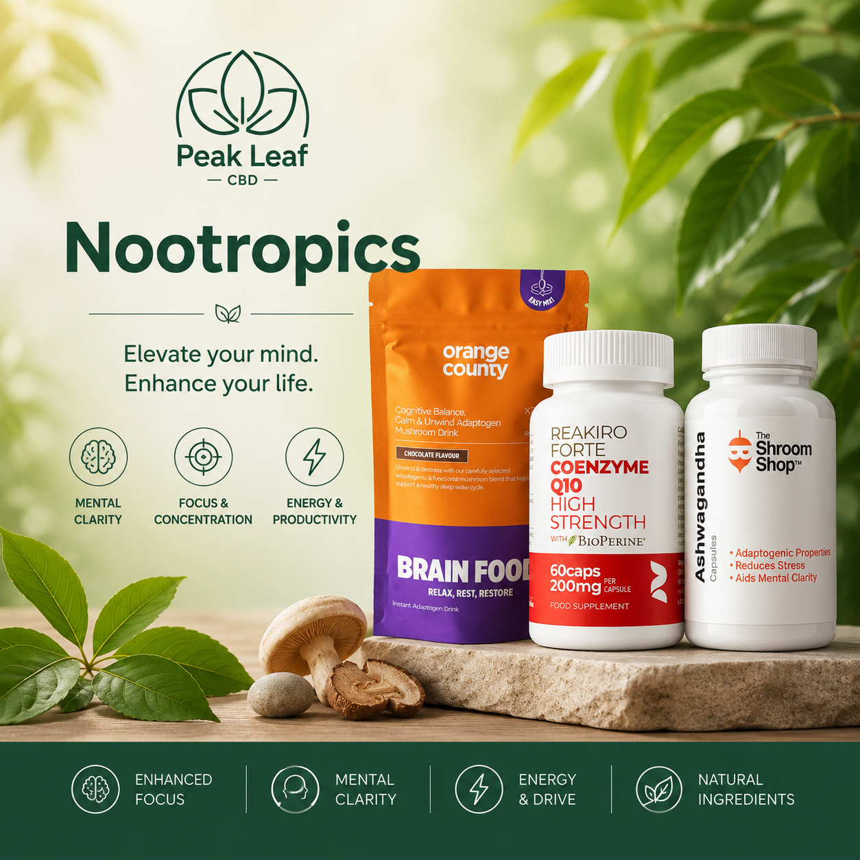 Nootropics