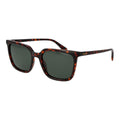 Polaroid PLD 4163/S Brown Polycarbonate Sunglasses