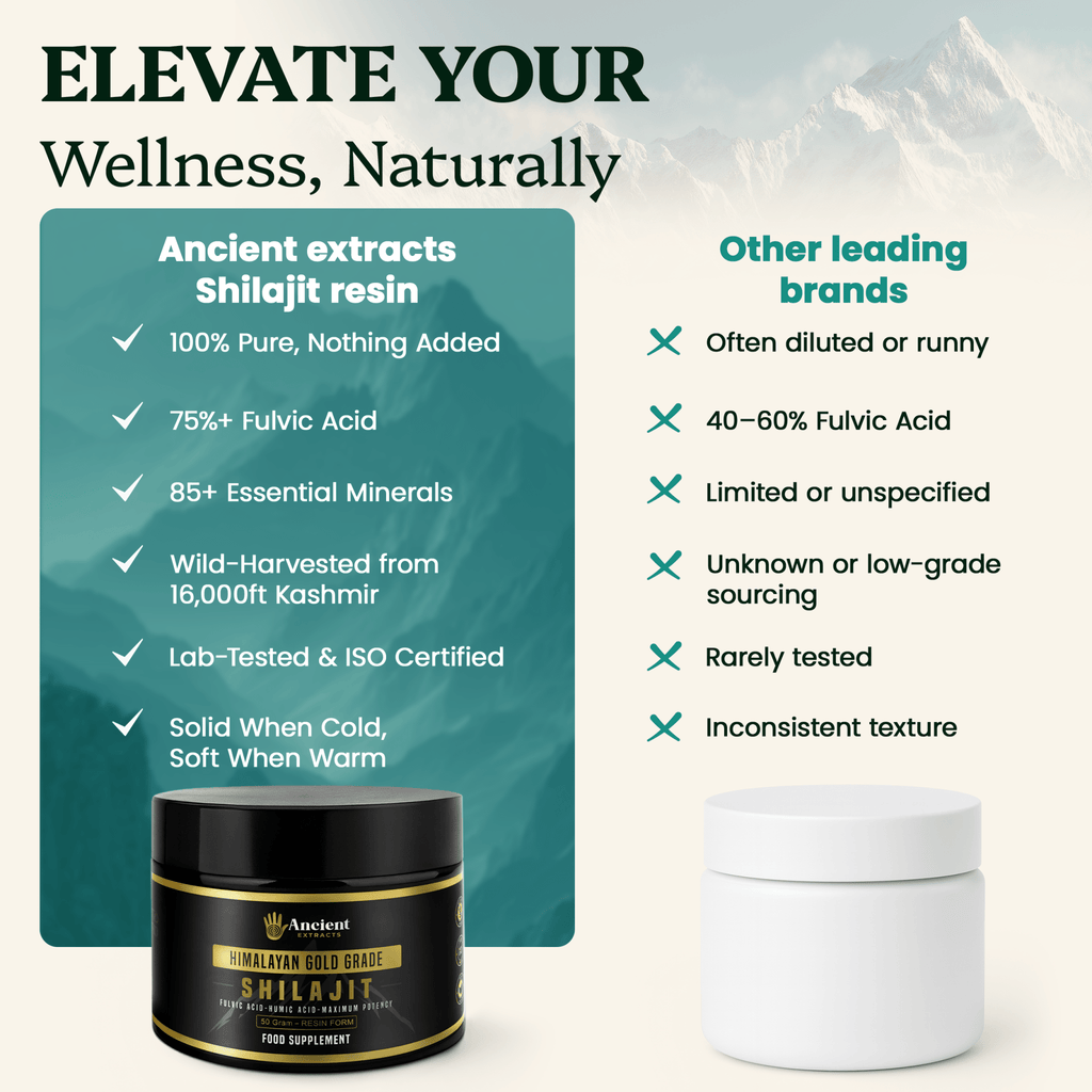Ancient Extracts Detox Set - 80% Fulvic Acid Shilajit Resin & Reishi Mushroom Extract with 30% Beta Glucans