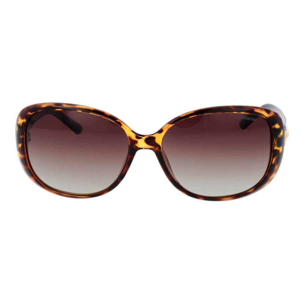 Polaroid P8430 Brown Plastic Sunglasses