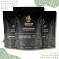 Ancient Extracts Chaga Mushroom Extract Powder 15:1 with 30% Beta Glucans