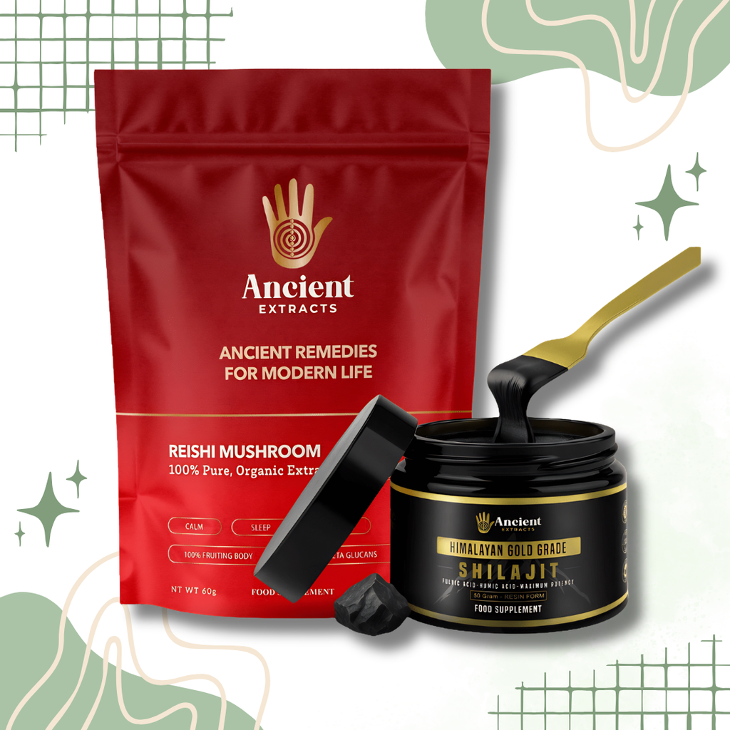 Ancient Extracts Detox Set - 80% Fulvic Acid Shilajit Resin & Reishi Mushroom Extract with 30% Beta Glucans