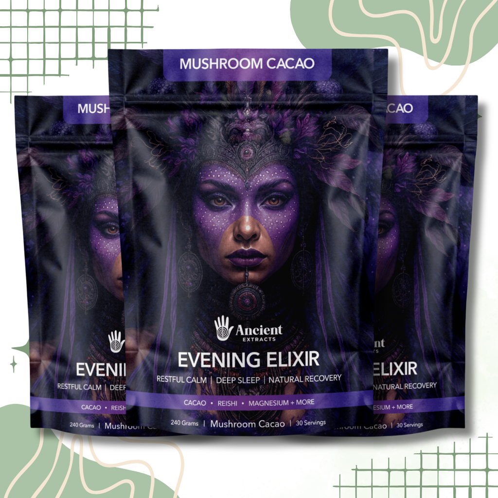 Ancient Extracts Evening Elixir Mushroom Cacao Drink Mix