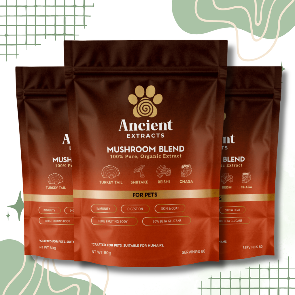 Ancient Extracts Mushroom Blend for Pets - 30% Beta-Glucans, Fruiting Body Extracts