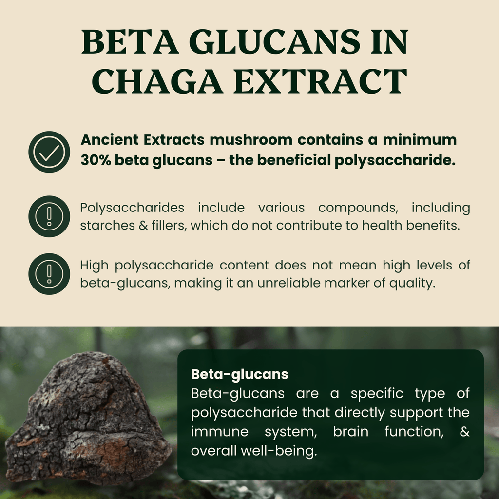 Ancient Extracts Chaga Mushroom Extract Powder 15:1 with 30% Beta Glucans