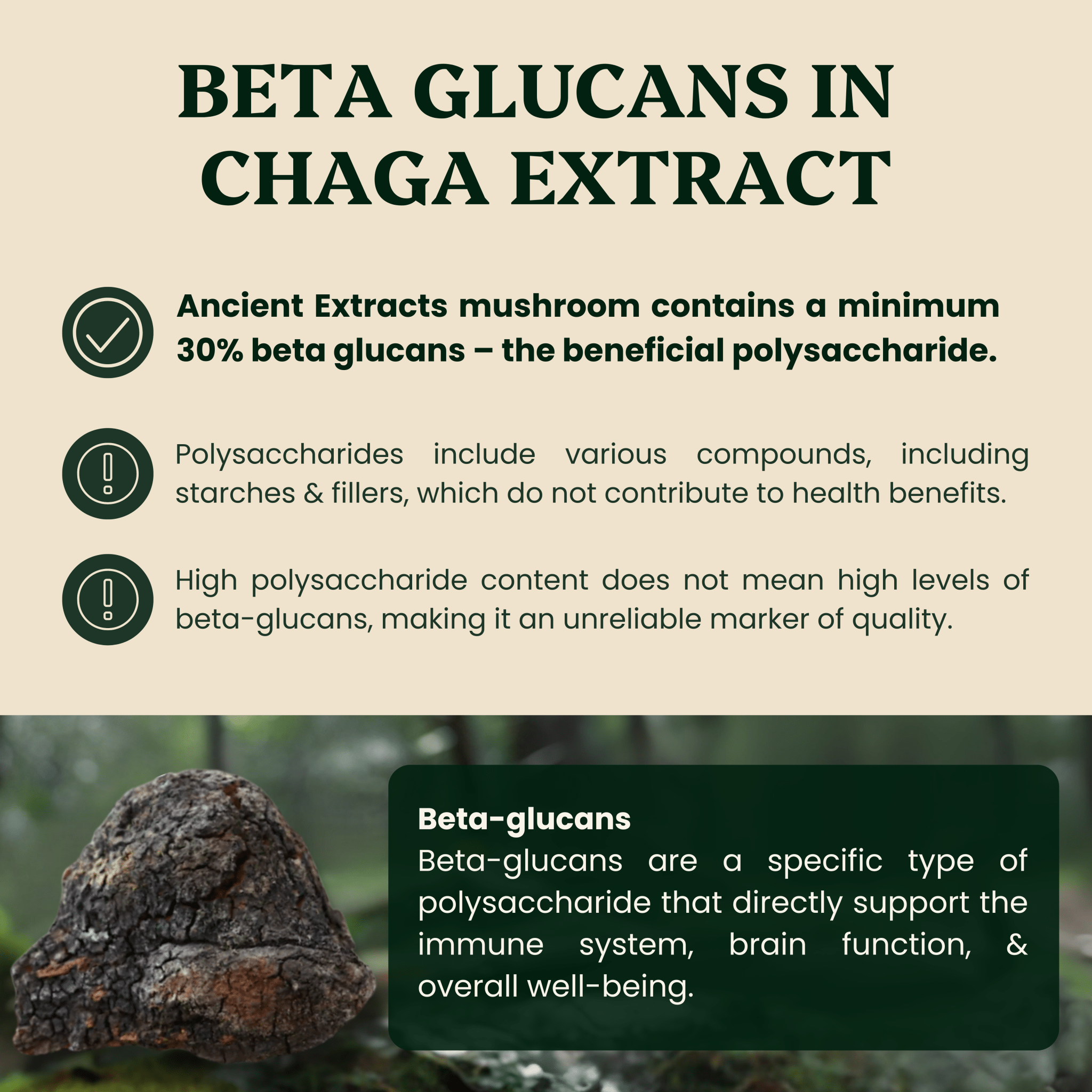 Ancient Extracts Chaga Mushroom Extract Powder 15:1 with 30% Beta Glucans