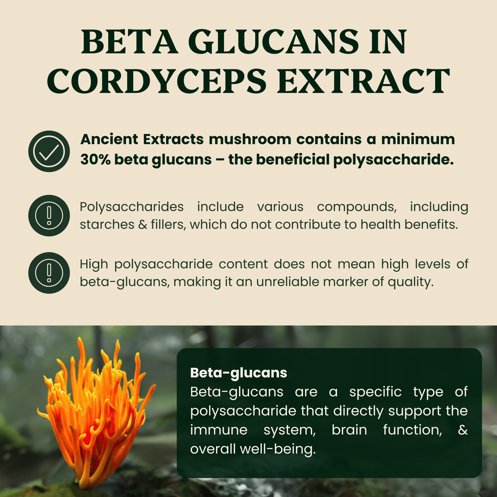 Ancient Extracts Reishi and Cordyceps Hormone Support Extracts