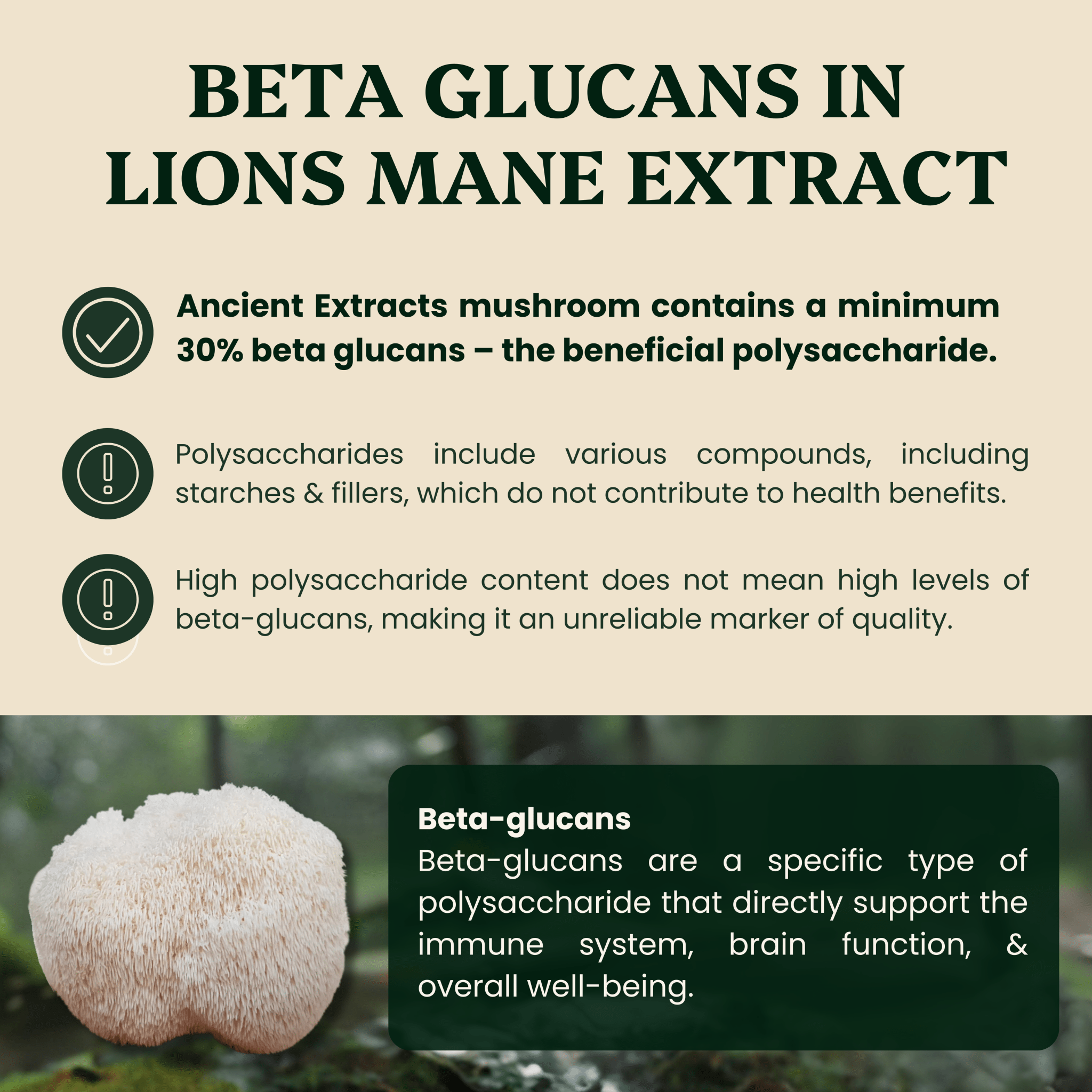 Ancient Extracts Lion's Mane and Reishi Mushroom Extracts - Organic Cognitive Support