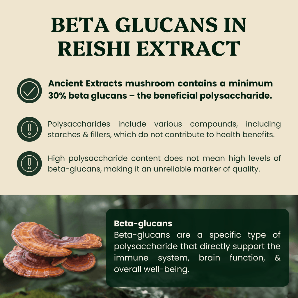 Ancient Extracts Reishi Mushroom Extract Powder 15:1 Concentrate, 30% Beta Glucans