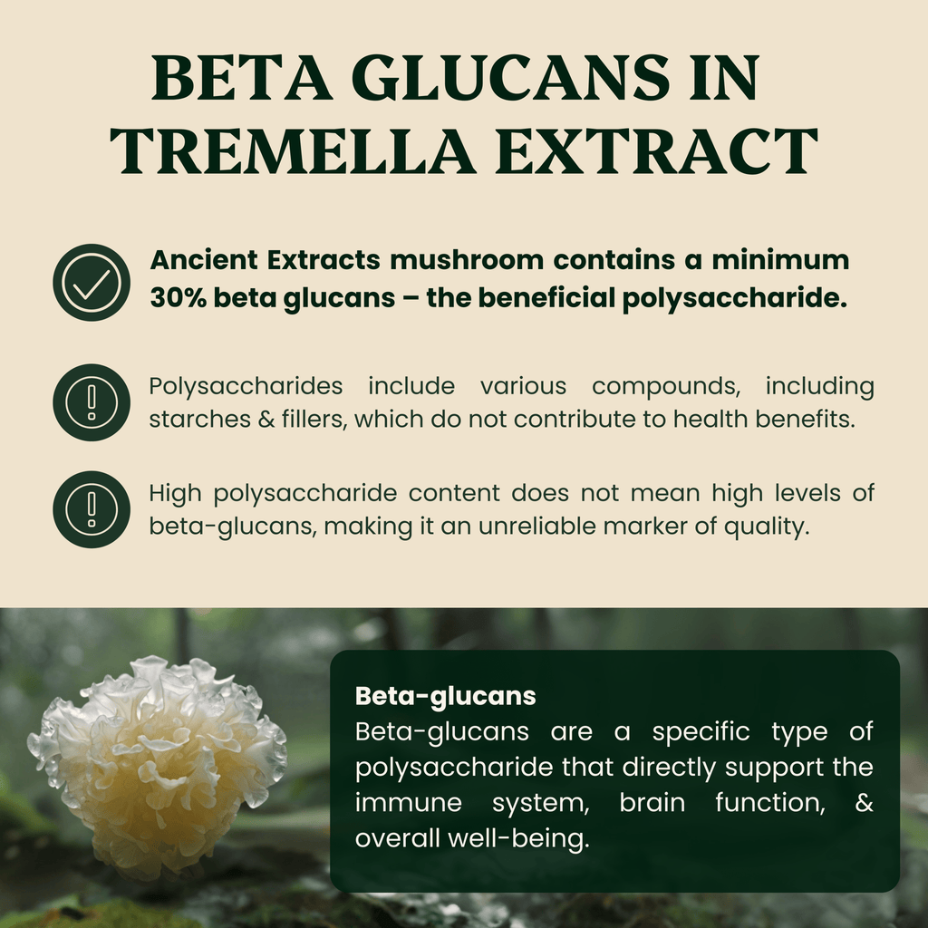Ancient Extracts Tremella and Chaga Mushroom Extracts Beauty Duo