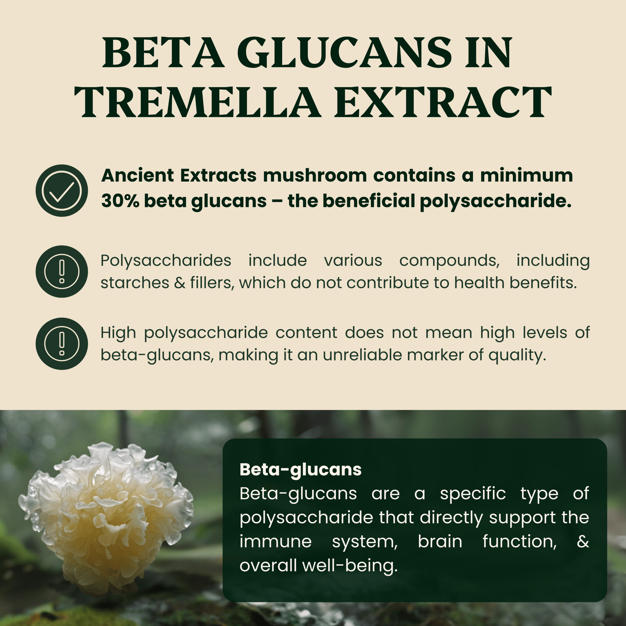 Ancient Extracts Tremella and Chaga Mushroom Extracts Beauty Duo