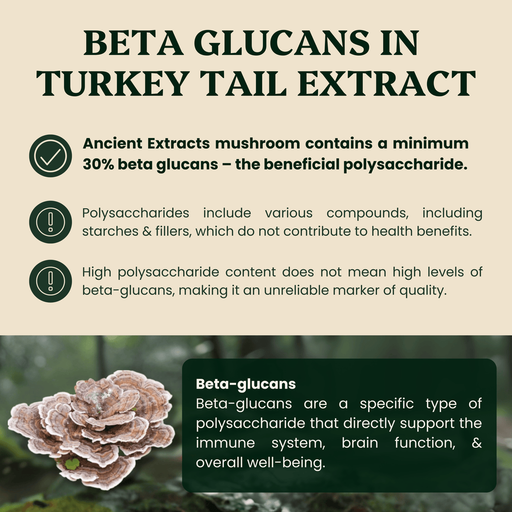 Ancient Extracts Turkey Tail Mushroom Extract for Pets - 30% Beta-Glucans, 100% Fruiting Body