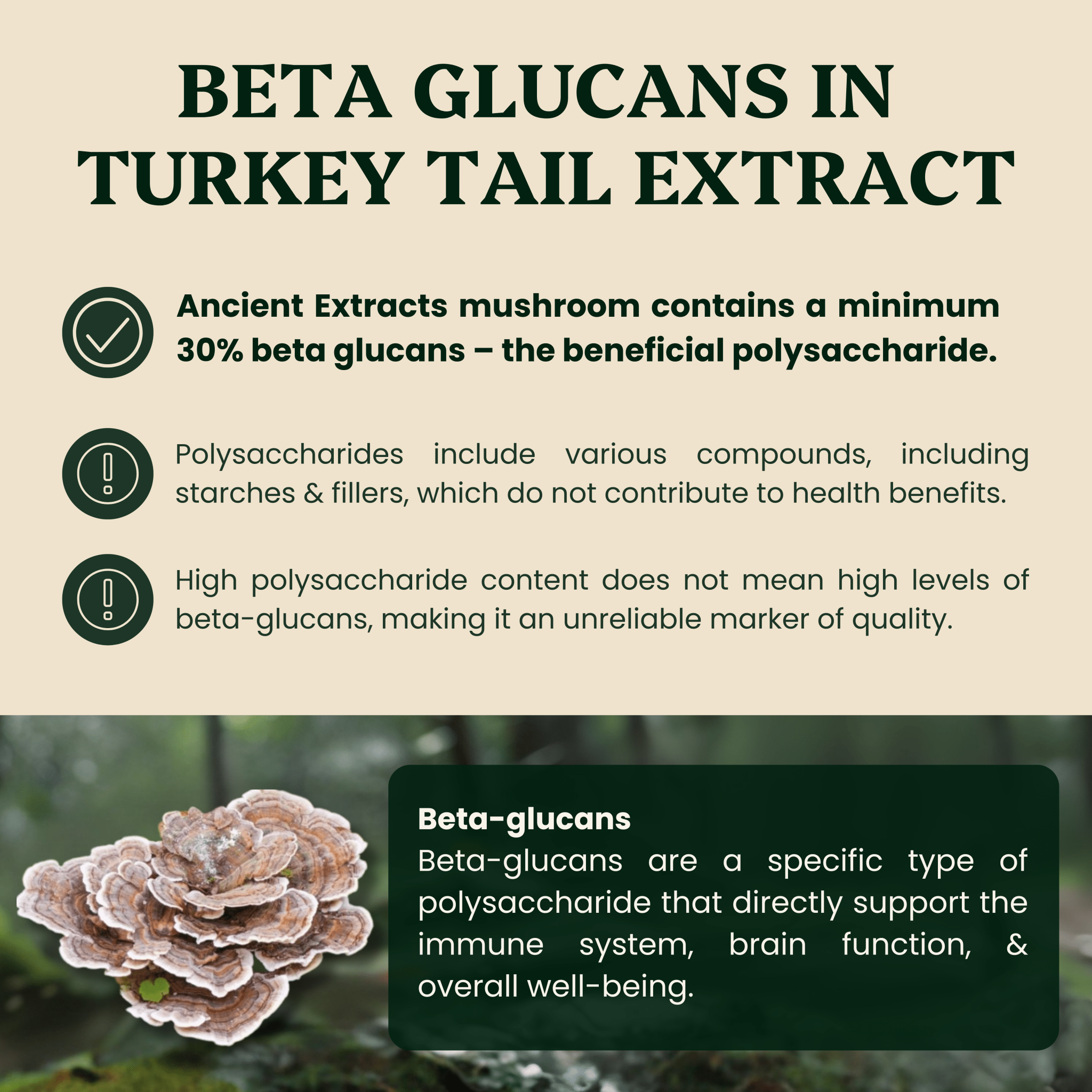 Ancient Extracts Turkey Tail Mushroom Extract for Pets - 30% Beta-Glucans, 100% Fruiting Body
