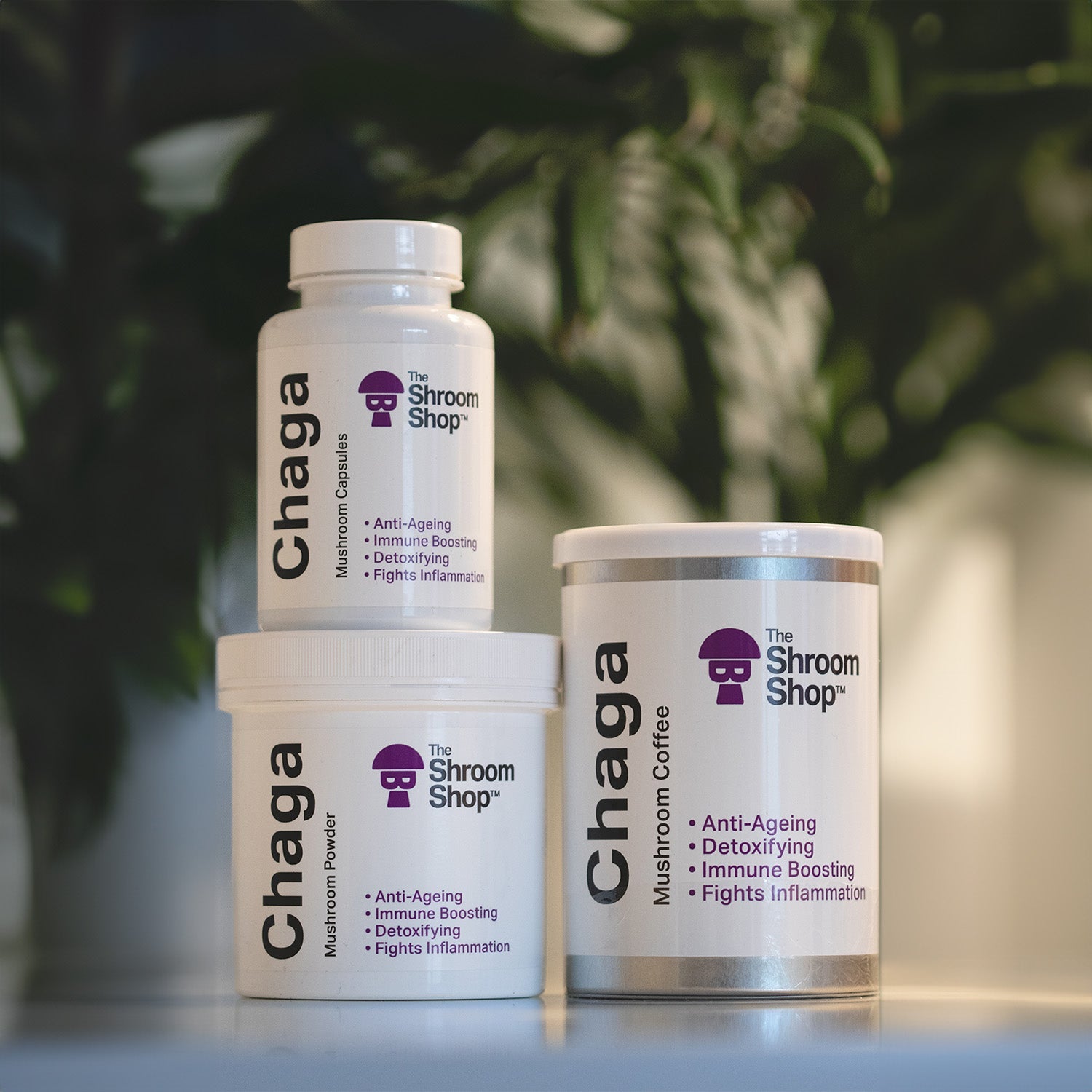 The Shroom Shop Mushroom Coffee with Pure Mushroom Extracts for Brain and Immune Support