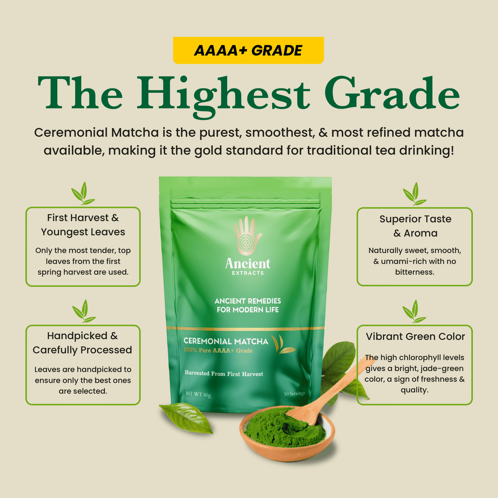Ancient Extracts Ceremonial Matcha and Hojicha Tea Pair