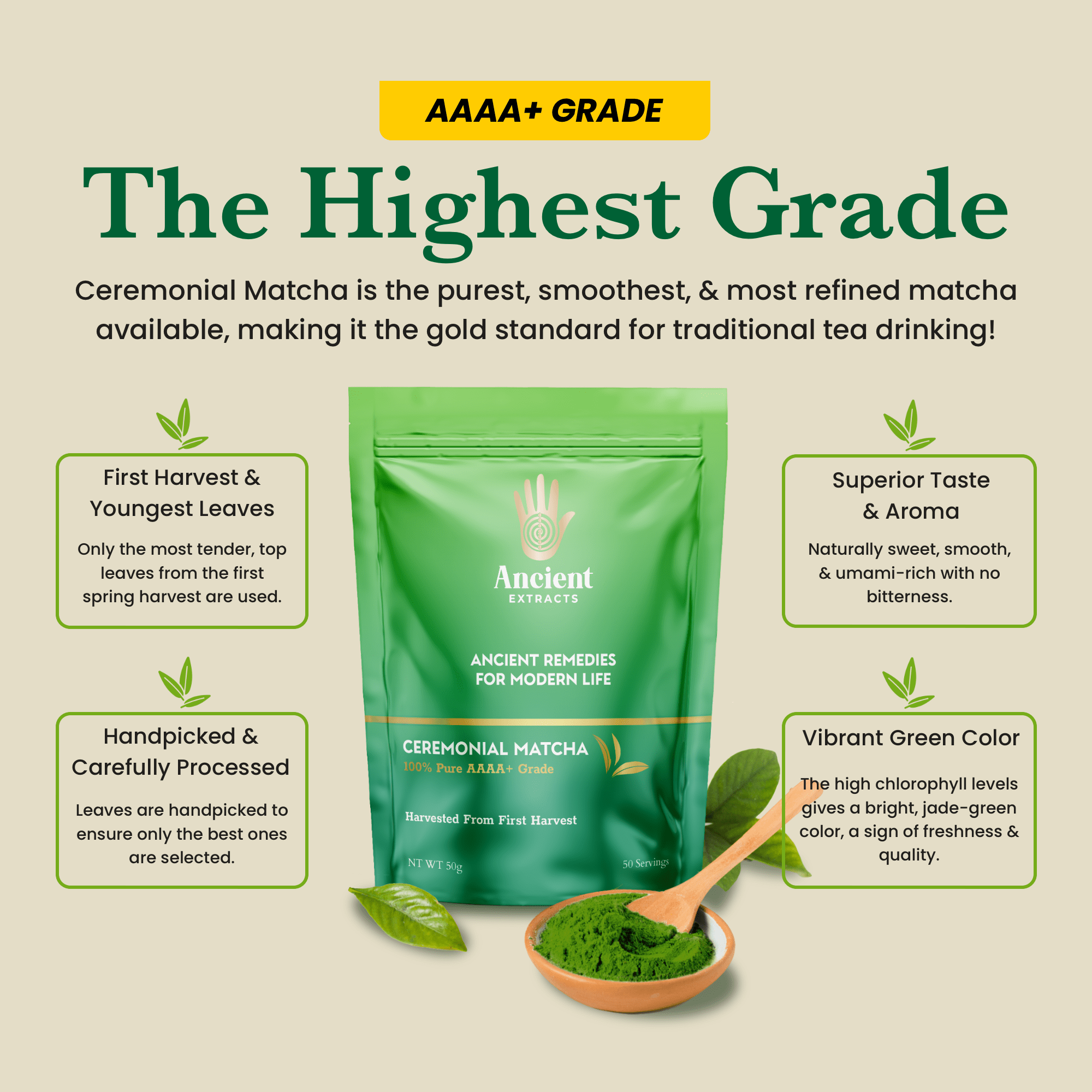 Ancient Extracts Ceremonial Matcha and Hojicha Tea Pair