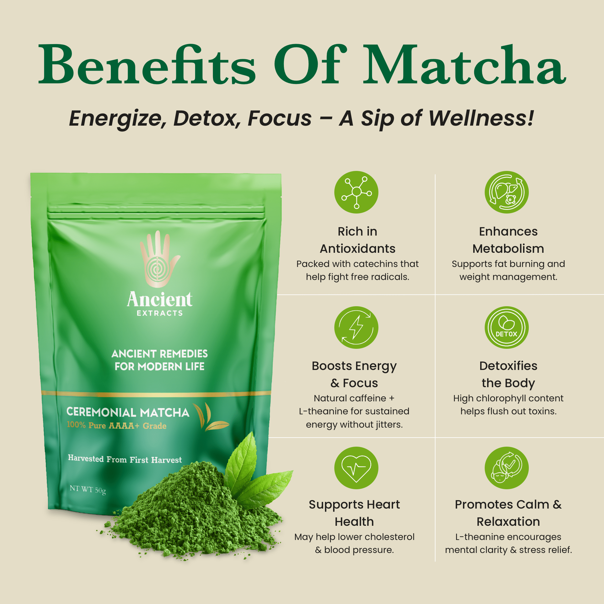 Ancient Extracts Ceremonial Matcha and Hojicha Tea Pair