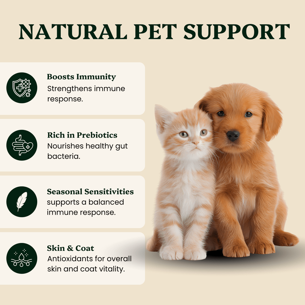 Ancient Extracts Mushroom Blend for Pets - 30% Beta-Glucans, Fruiting Body Extracts