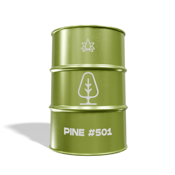 Pine #501 (Standard)