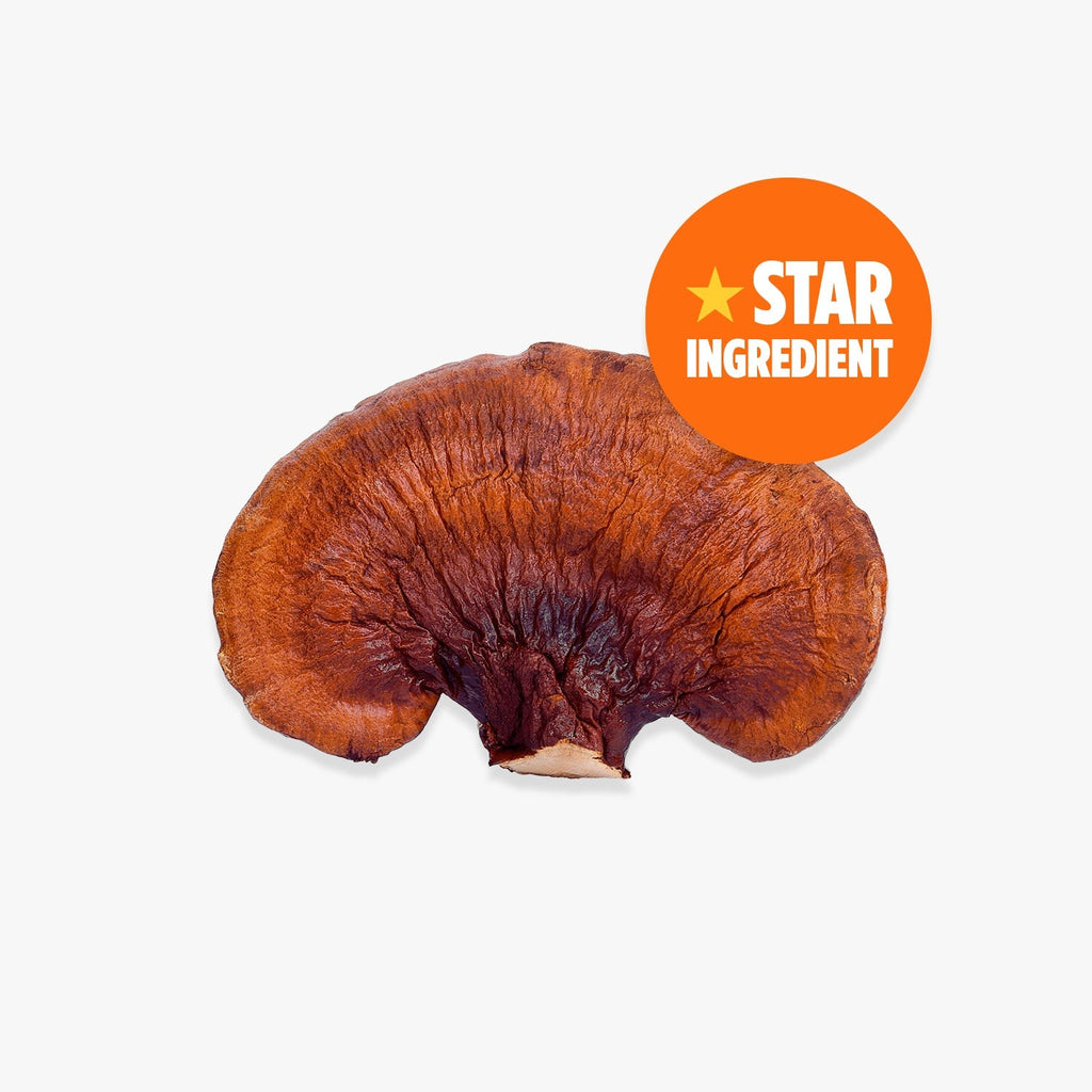 Orange County BRAIN FOOD. Calm & Unwind Adaptogen Mushroom Drink