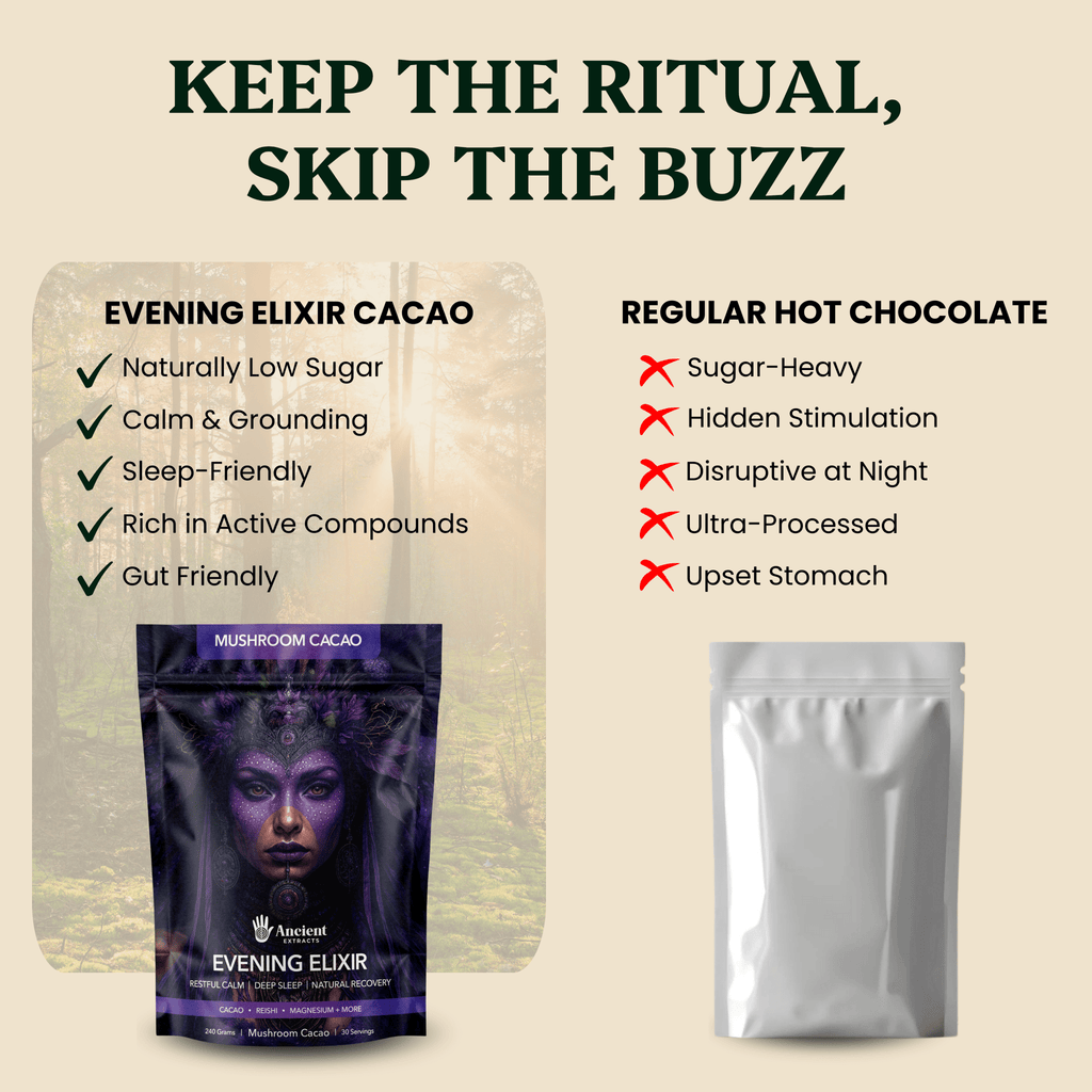 Ancient Extracts Evening Elixir Mushroom Cacao Drink Mix