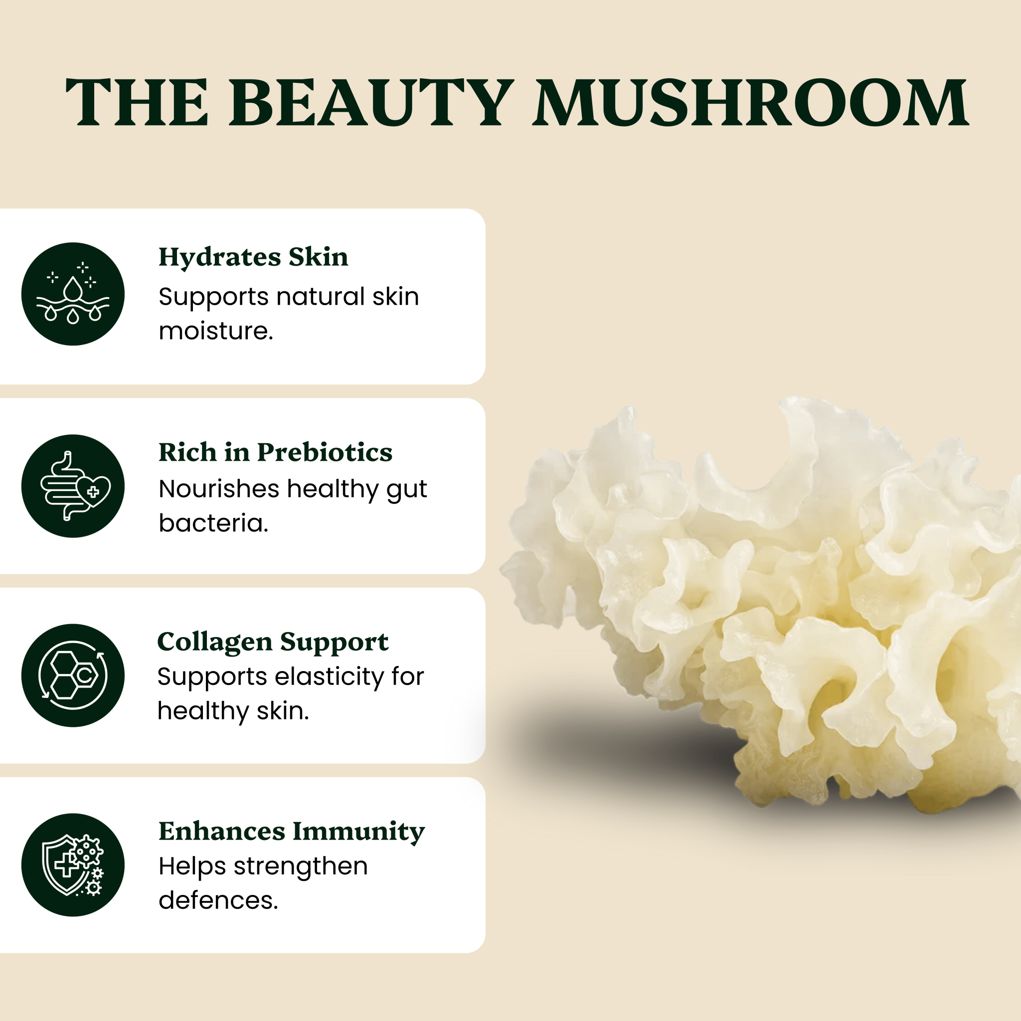 Ancient Extracts Tremella and Chaga Mushroom Extracts Beauty Duo
