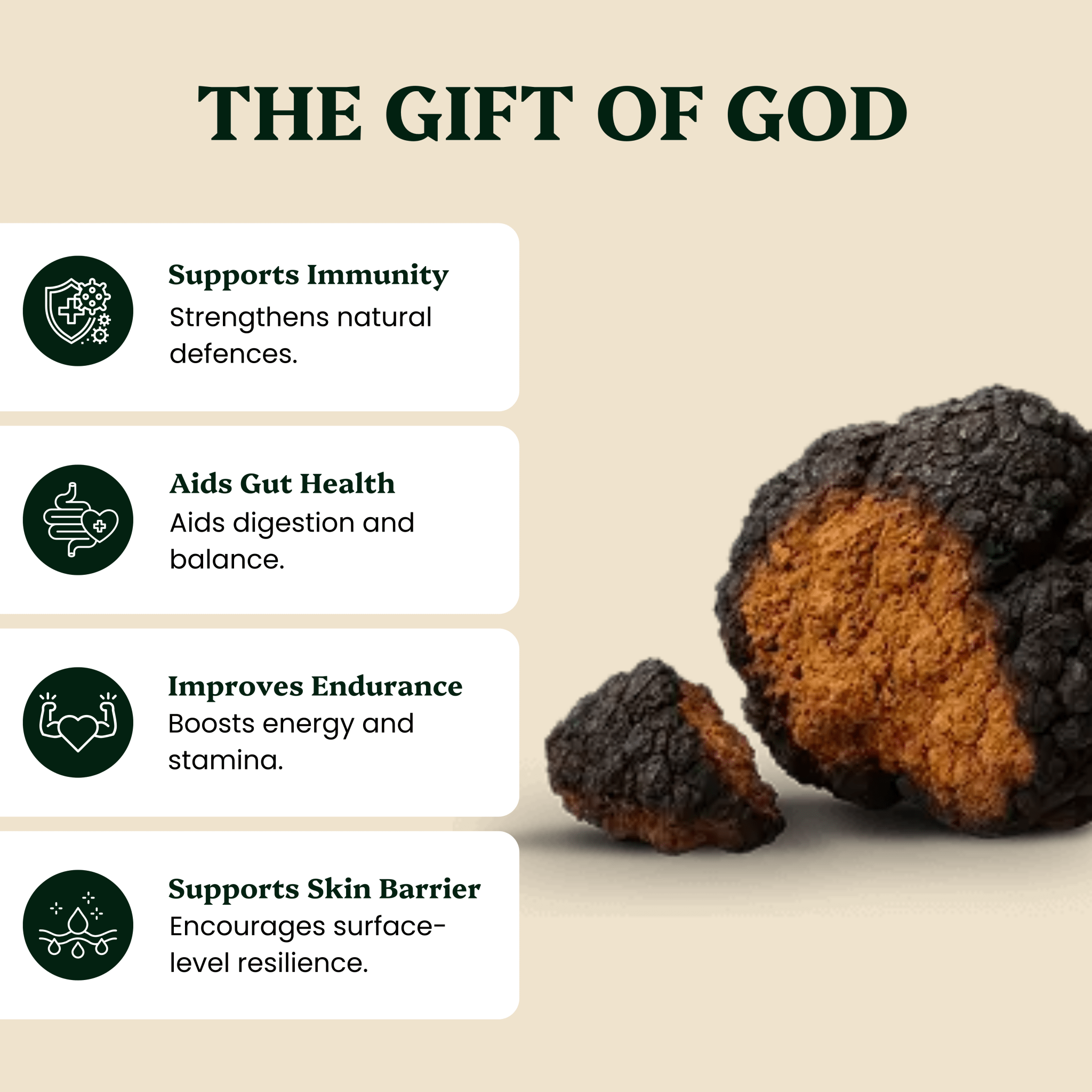 Ancient Extracts Cordyceps & Chaga Energy Support Extract Pair