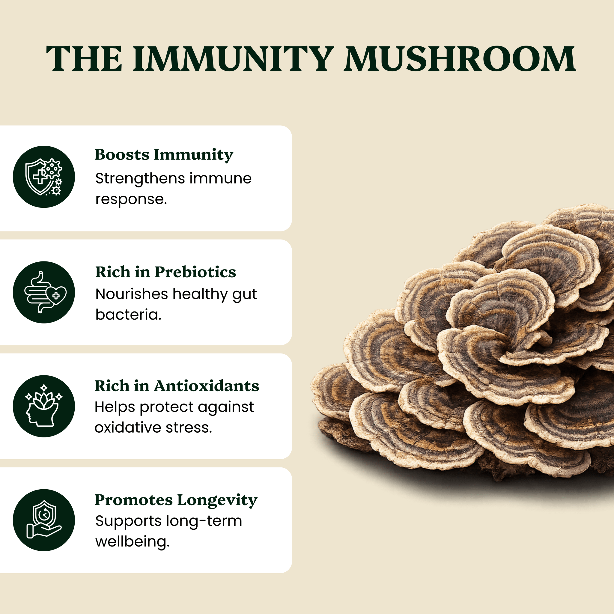 Ancient Extracts Turkey Tail Mushroom Extract for Pets - 30% Beta-Glucans, 100% Fruiting Body