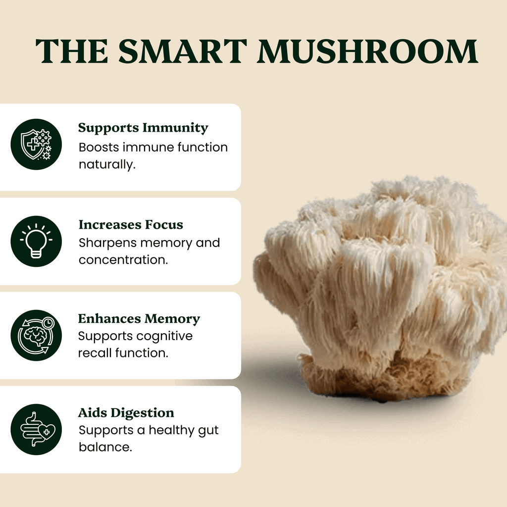Ancient Extracts Lion's Mane and Reishi Mushroom Extracts - Organic Cognitive Support