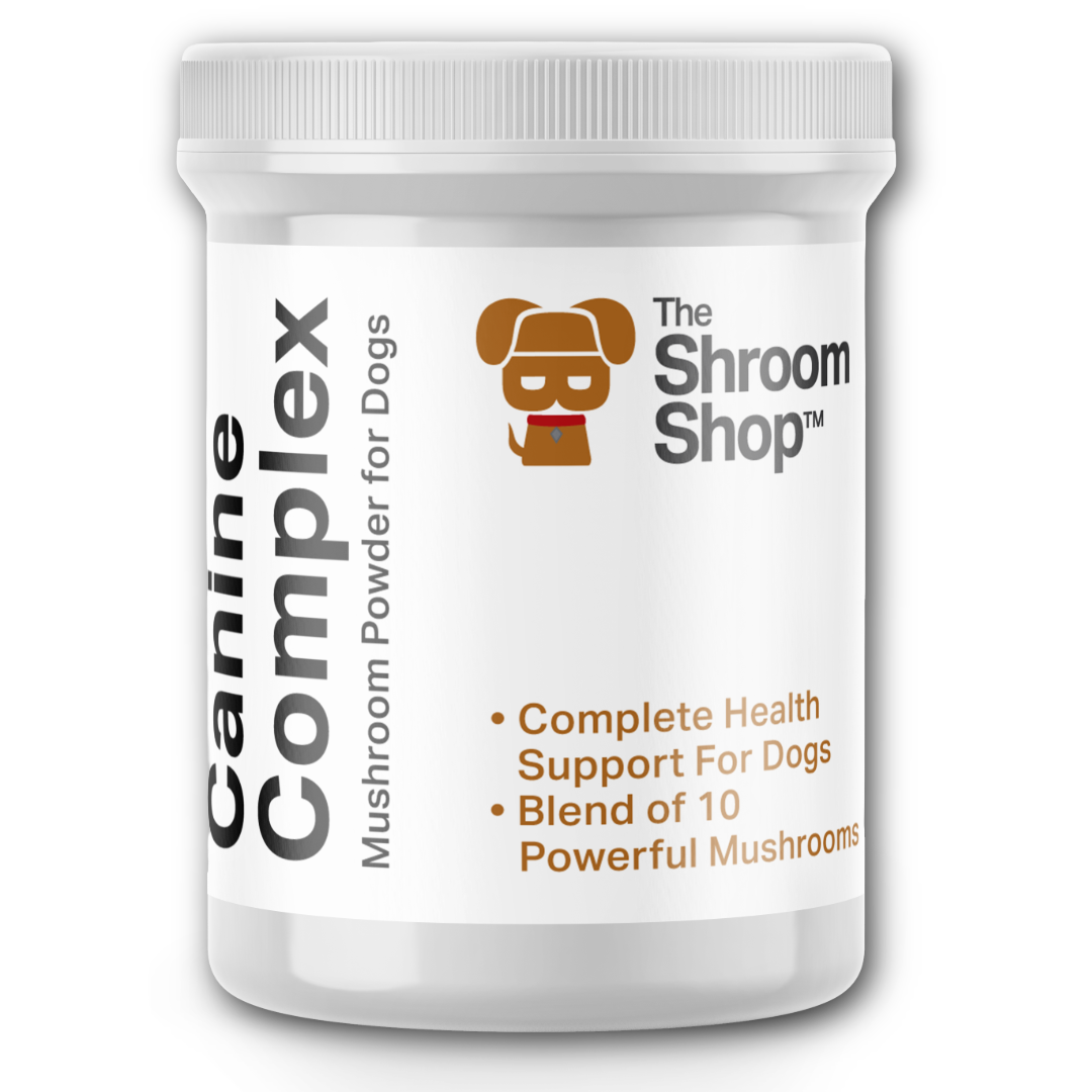 Canine Complex Mushroom Powder by The Shroom Shop 10 Mushroom Blend