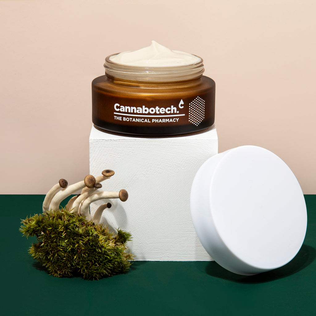 CBD & Mushroom Anti Aging Cream by Voyager 50ml CBD Face Cream