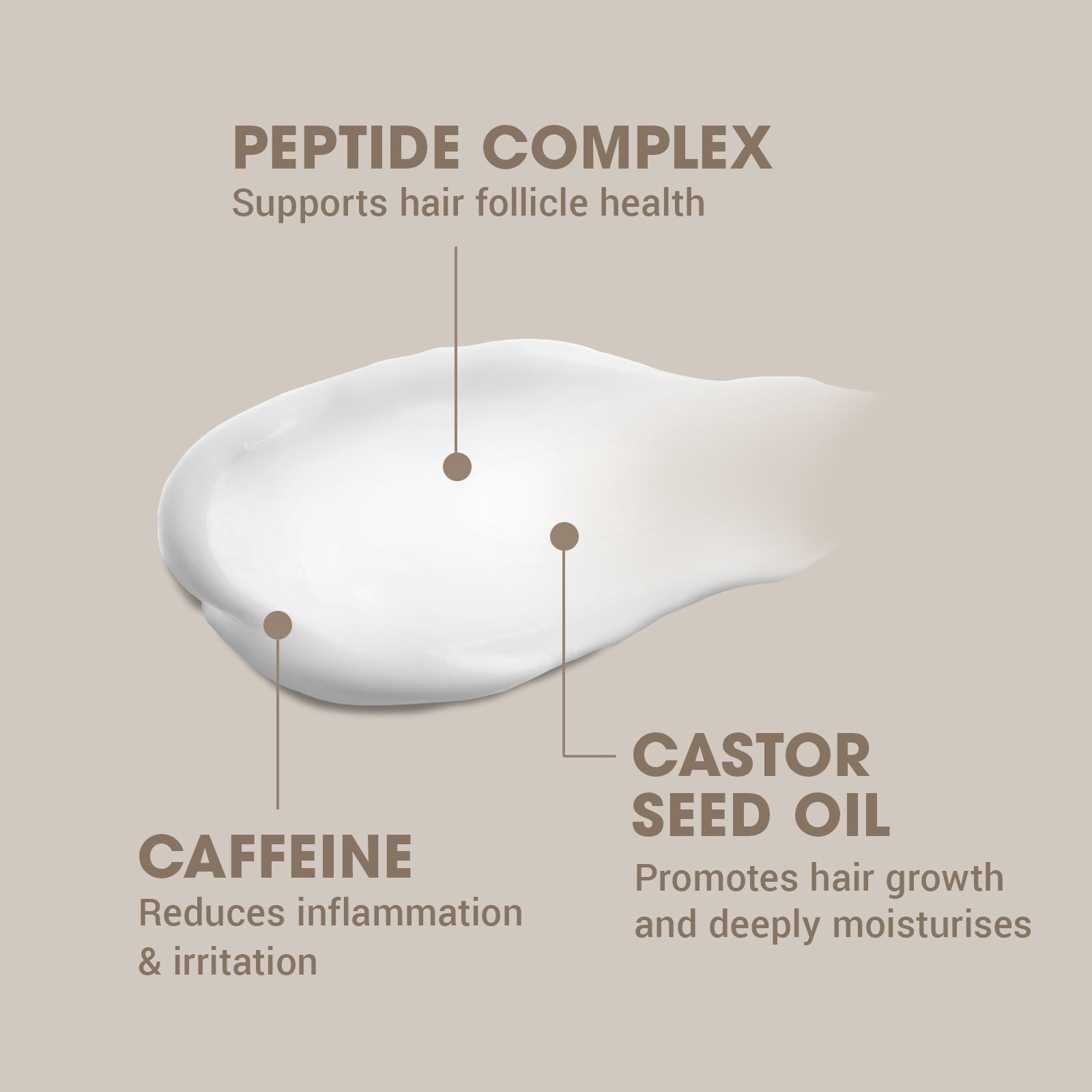 THE MANE EVENT Beard Serum Oil - Conditions & Soothes